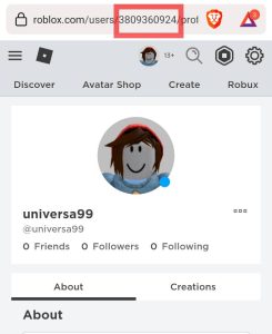 How to Find Your Roblox User ID on Mobile and PC