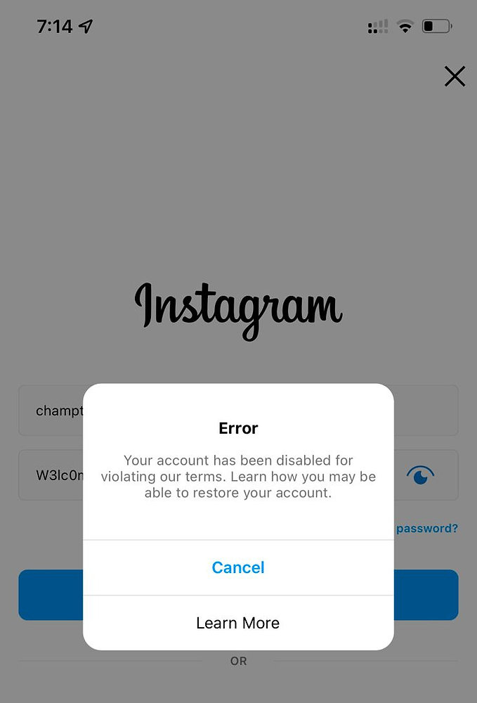 Appeal or request review for disabled Instagram account