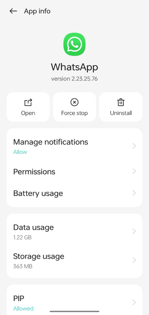 WhatsApp App Info storage