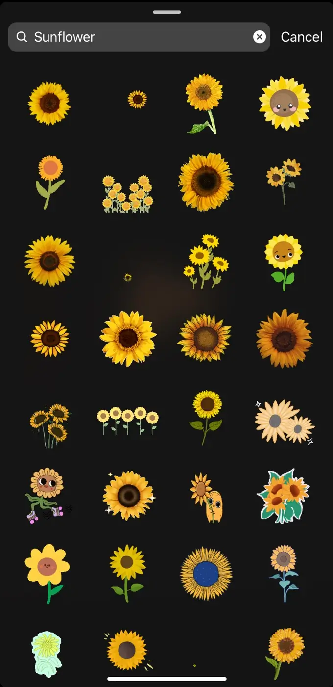 Sunflower Instagram GIFs for story