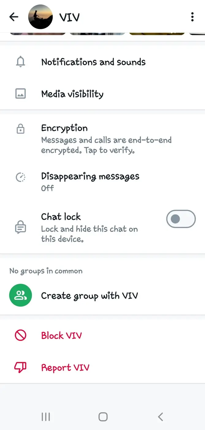 Block contact to show single WhatsApp tick